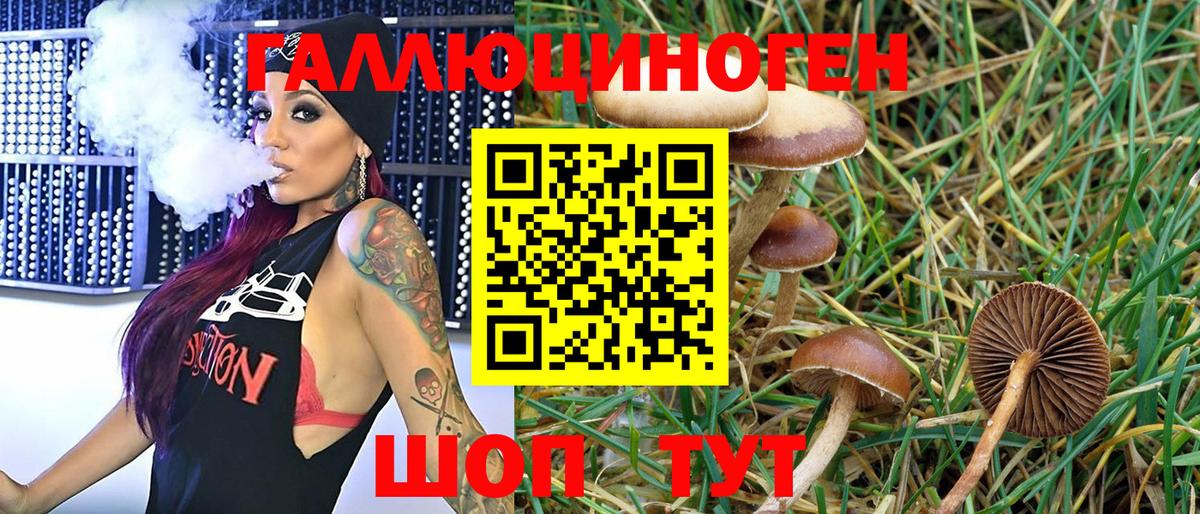 Псилоцибиновые грибы MAGIC MUSHROOMS Богородск