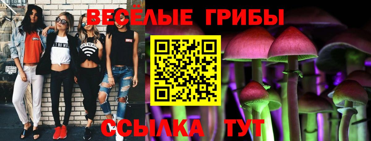 Богородск  Псилоцибиновые грибы прущие грибы  Галлюциногенные грибы MAGIC MUSHROOMS  Вход с VPN 
